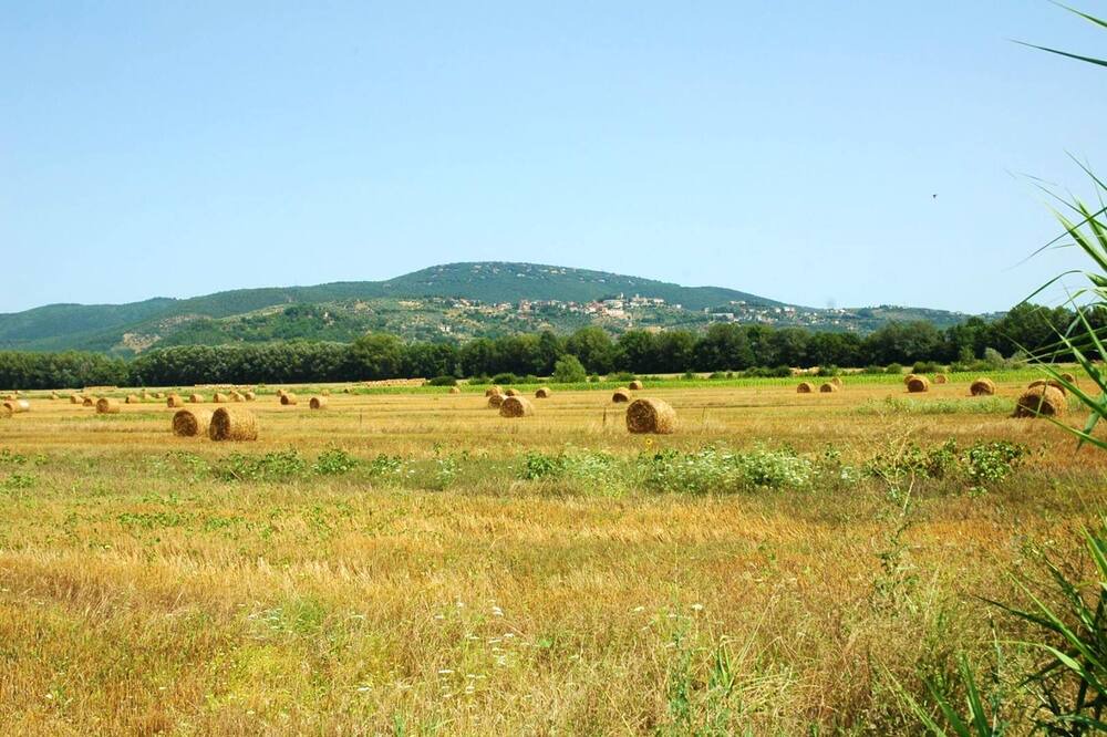 Photo of Others in Collesanto