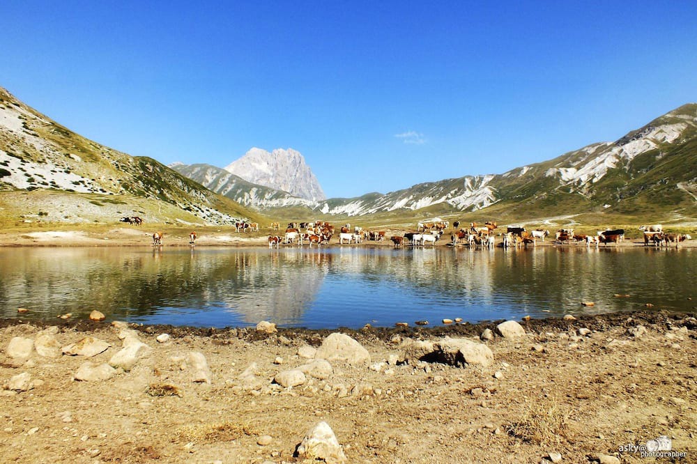 Photo of Outdoor in Castel di Ieri