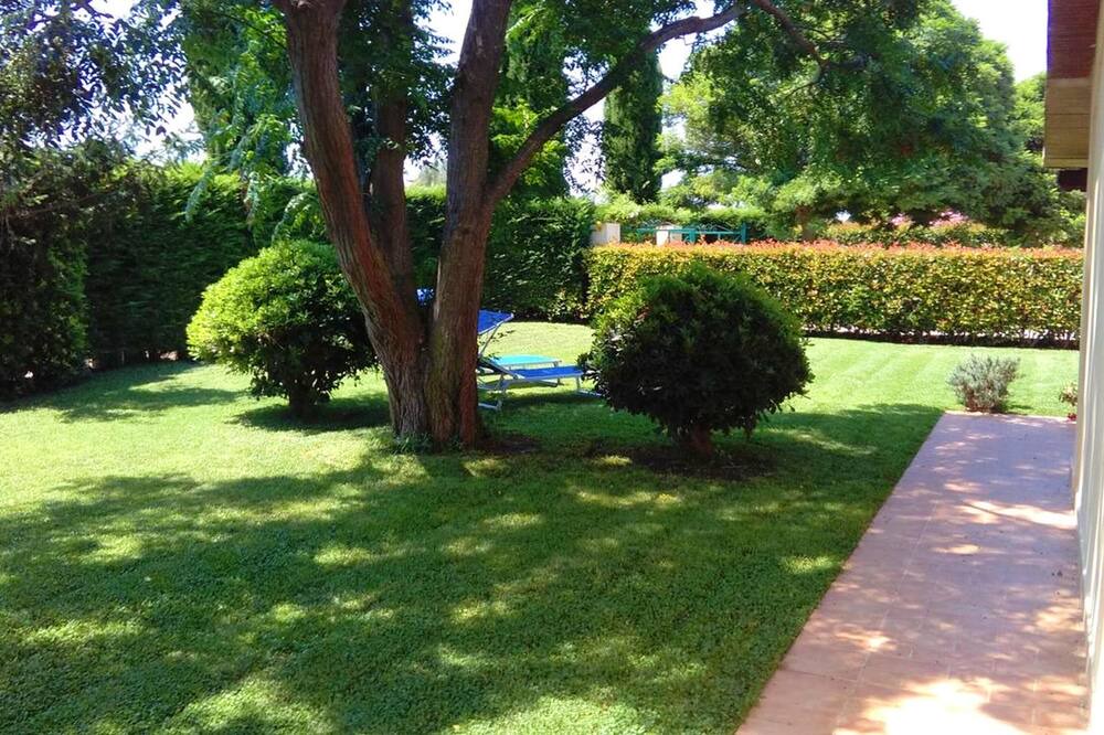 Photo of Outdoor in Pescia Romana