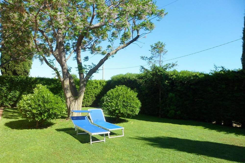 Photo of Outdoor in Pescia Romana