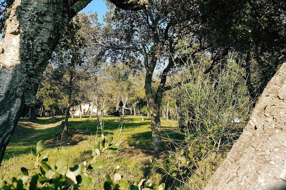Photo of Outdoor in Bibbona