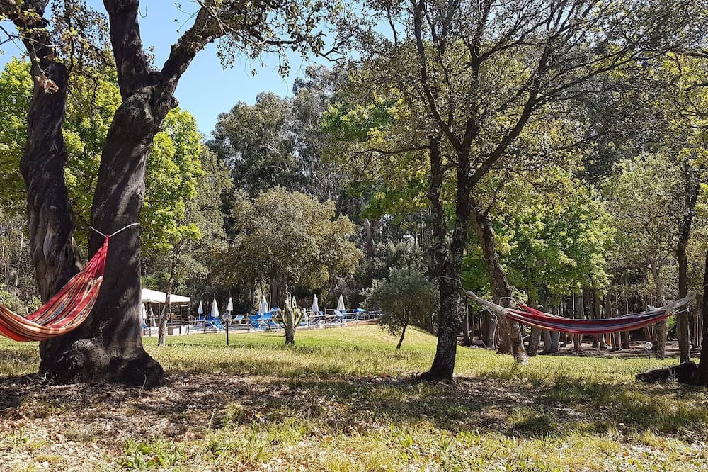 Photo of Outdoor in Bibbona