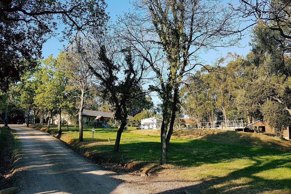 Photo of Outdoor in Bibbona