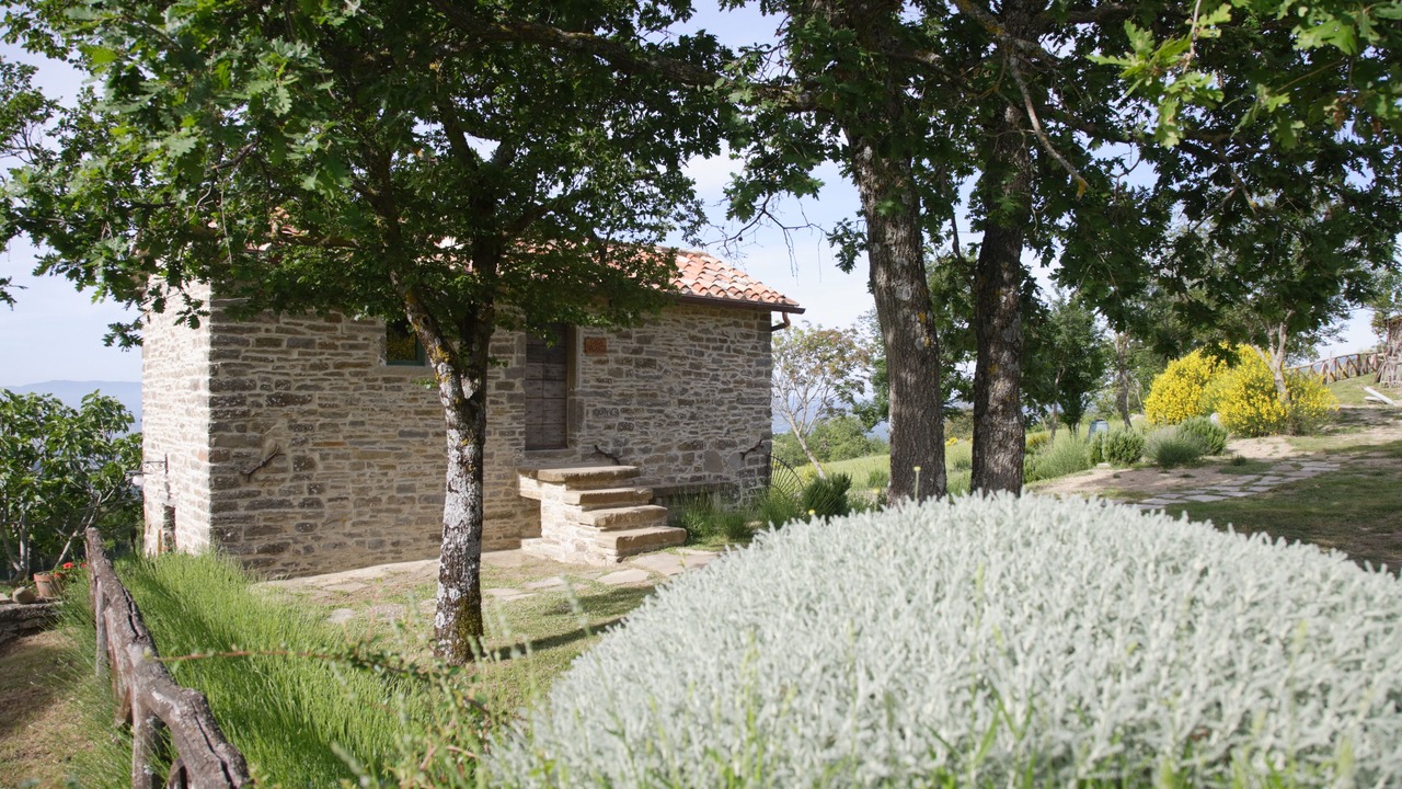 Photo of Outdoor in Pieve Santo Stefano