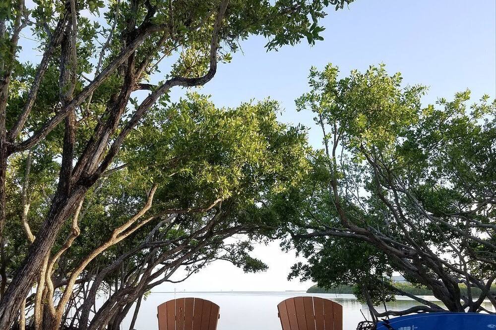 Photo of Outdoor in New Town