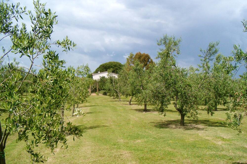 Photo of Outdoor in Grosseto