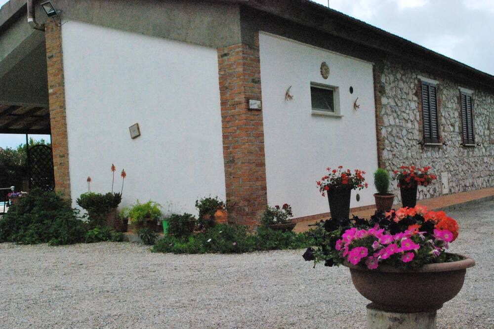 Photo of Others in Grosseto