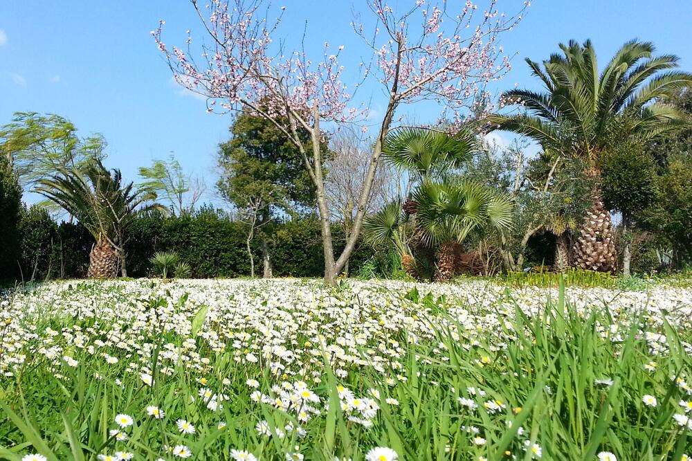 Photo of Outdoor in Grosseto