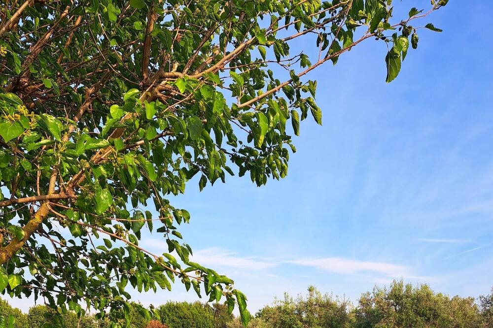 Photo of Outdoor in Grosseto
