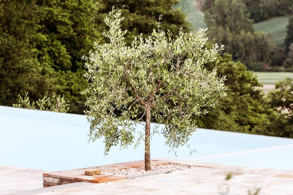 Photo of Outdoor in Umbertide