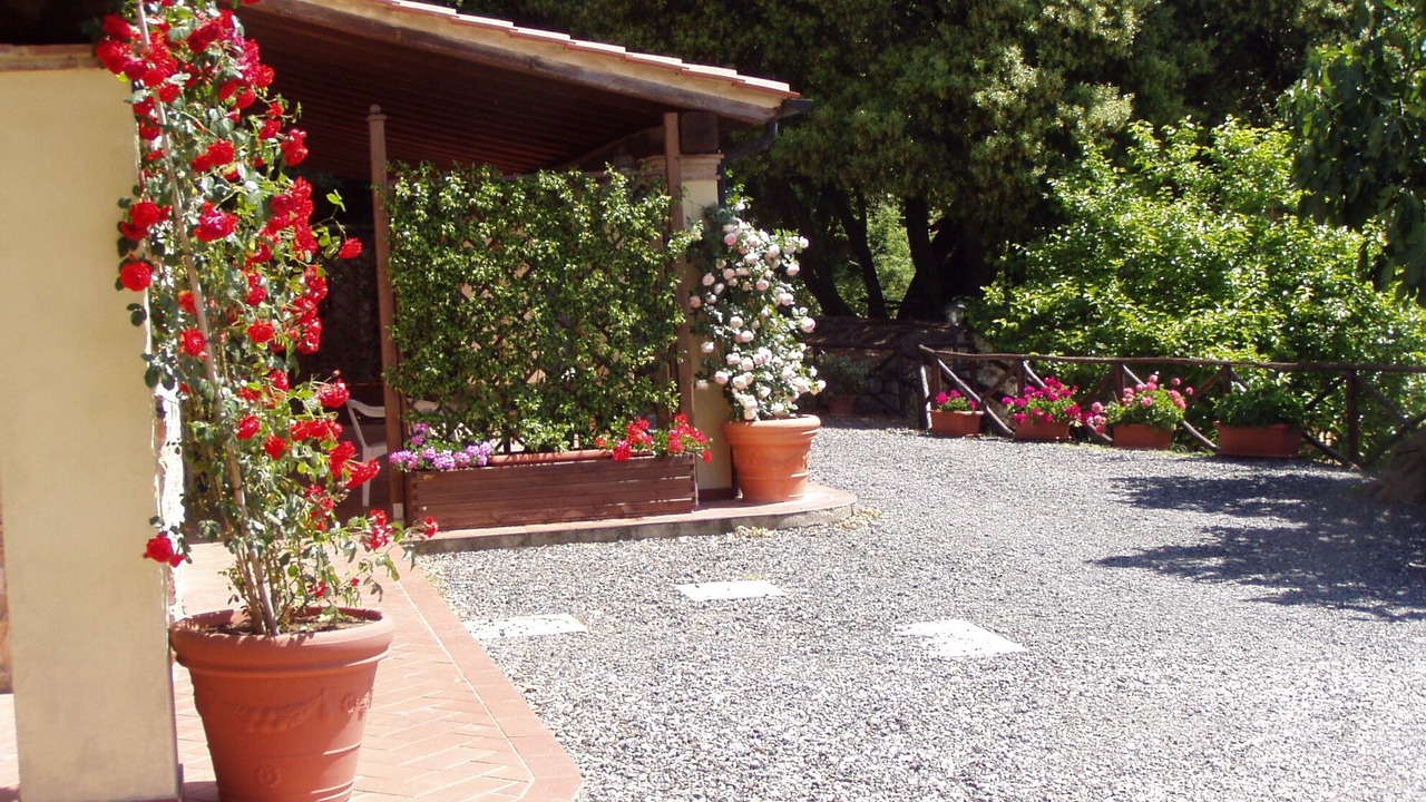 Photo of Outdoor in Monteverdi Marittimo