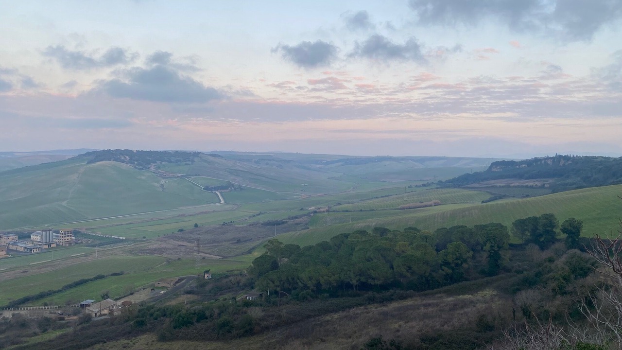 Photo of Others in Tarquinia