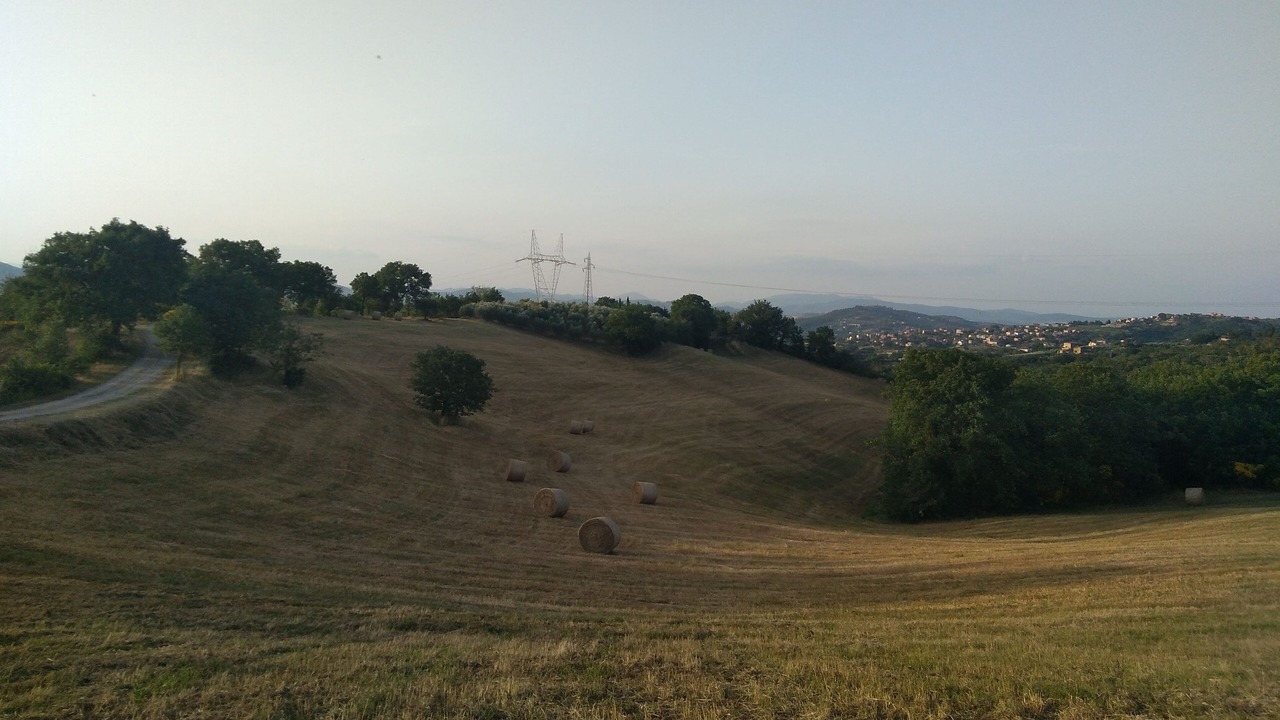 Photo of Outdoor in Piegaro