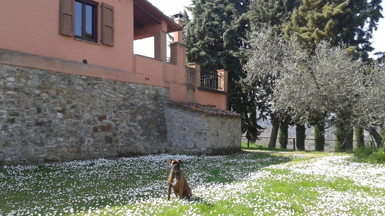 Photo of Outdoor in Piegaro