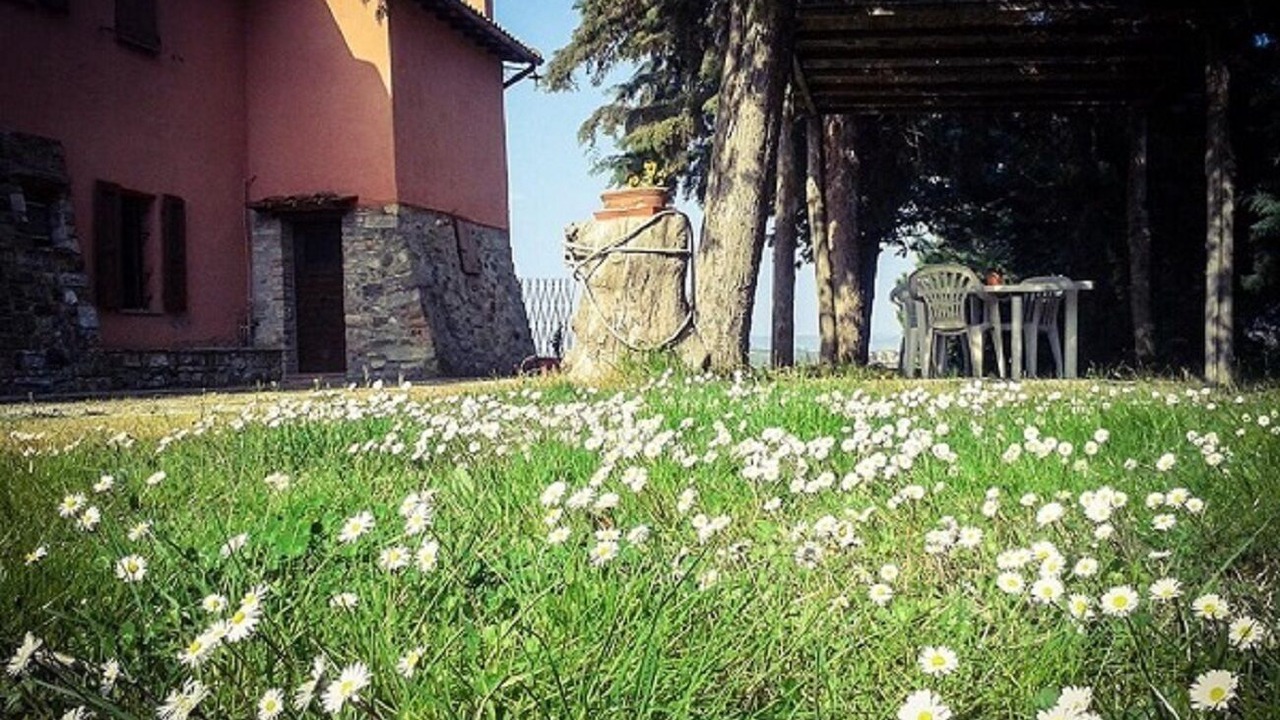 Photo of Outdoor in Piegaro