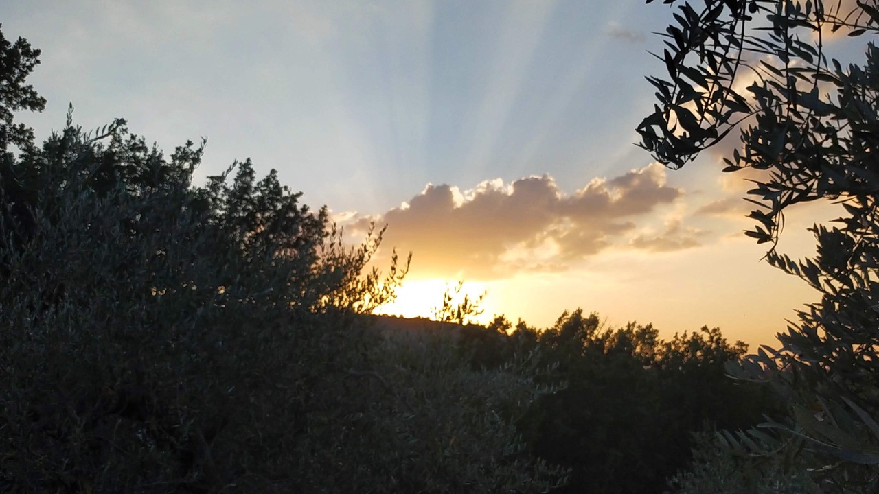 Photo of Outdoor in Piegaro
