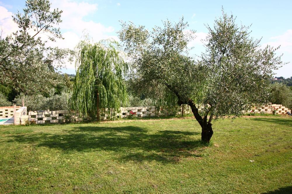 Photo of Outdoor in Selci