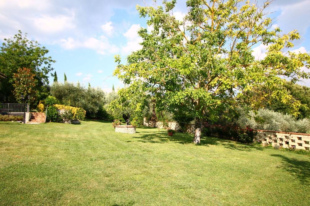 Photo of Outdoor in Selci