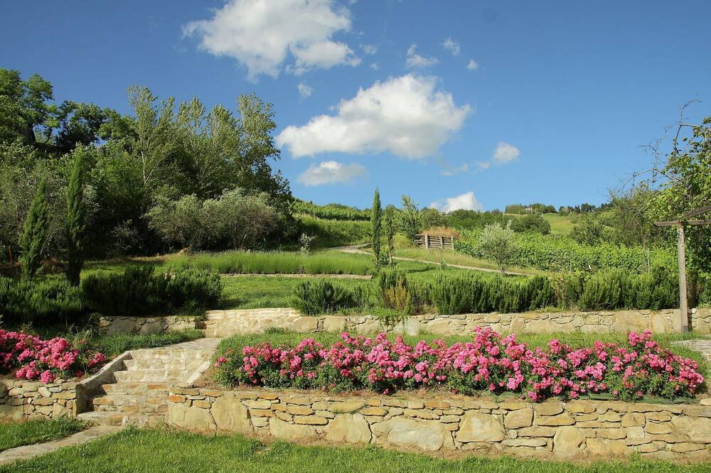 Photo of Outdoor in Modigliana