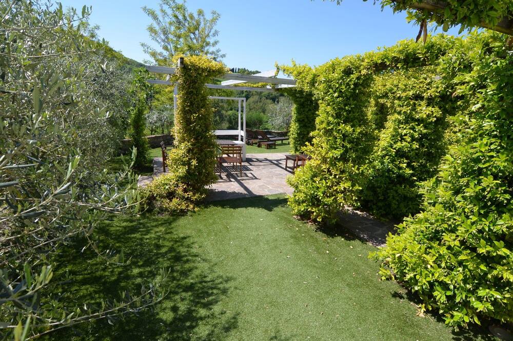 Photo of Outdoor in Modigliana