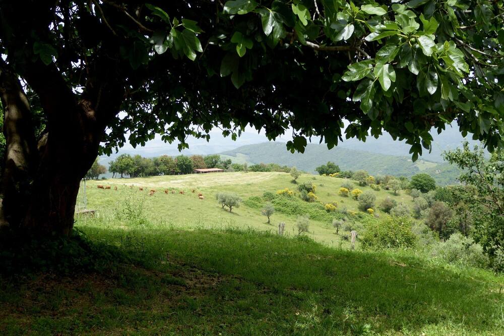 Photo of Others in Montecastelli