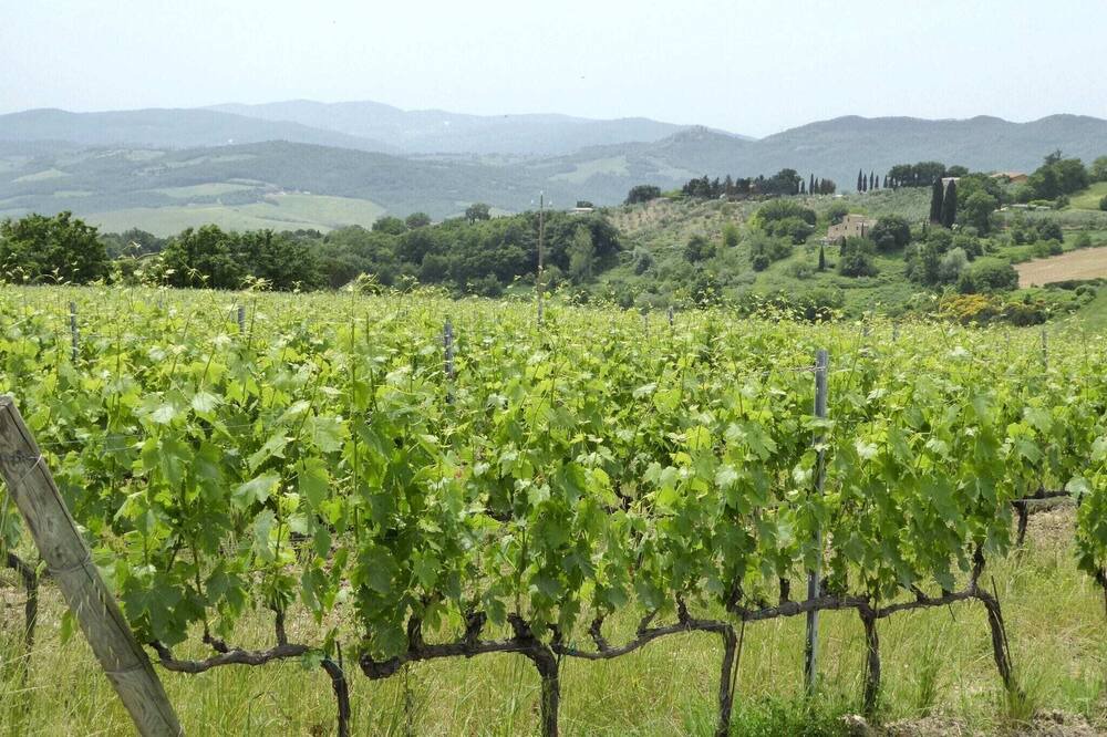 Photo of Others in Montecastelli