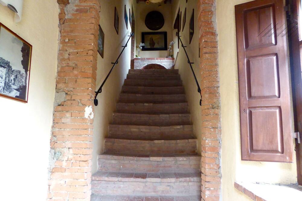 Photo of Others in Montecastelli