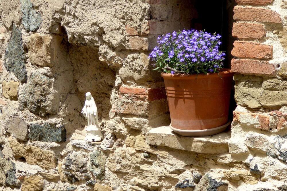 Photo of Others in Montecastelli