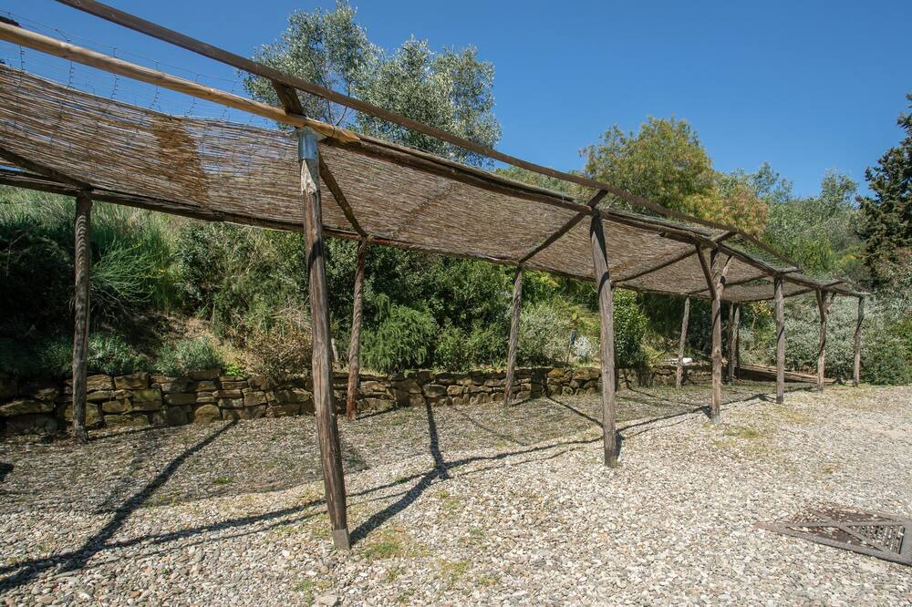 Photo of Others in Pescia Fiorentina