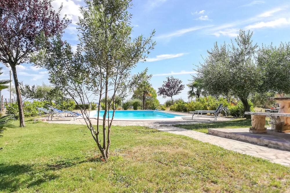 Photo of Outdoor in Castelnuovo di Porto