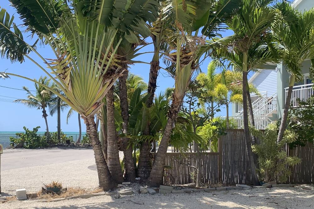 Photo of Outdoor in Geiger Key