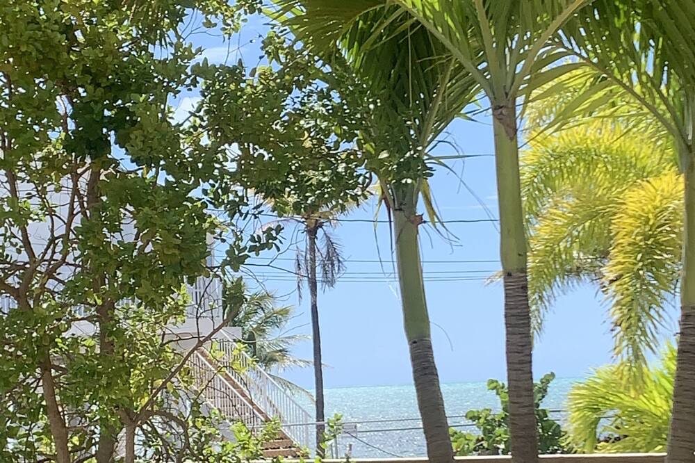 Photo of Others in Geiger Key