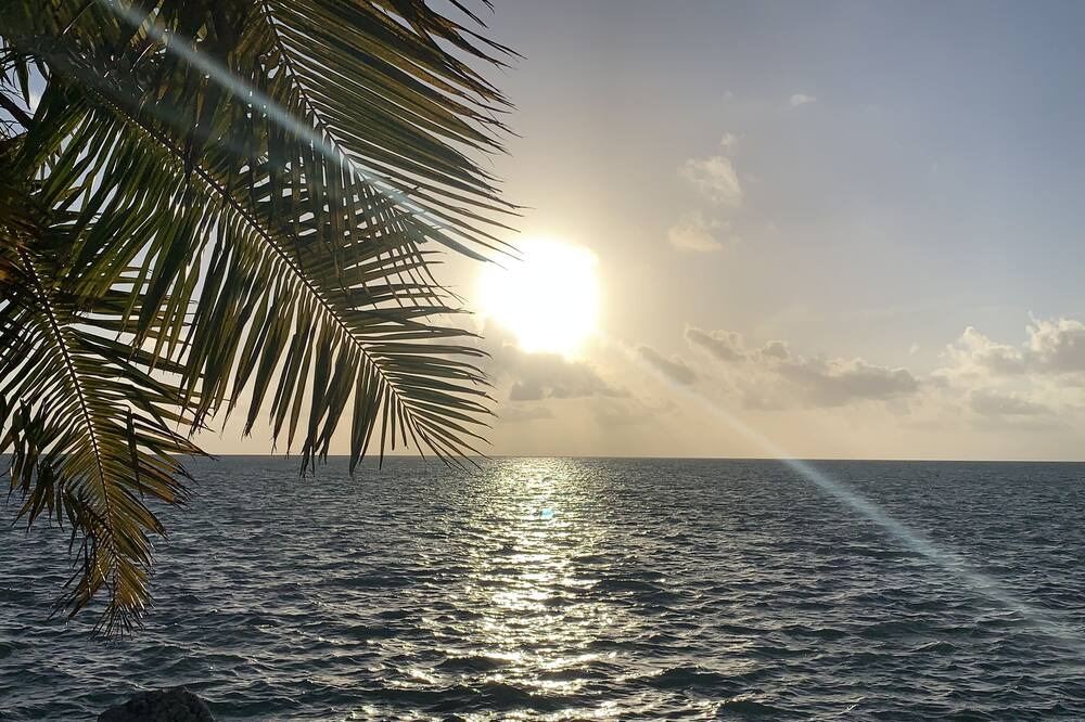 Photo of Others in Geiger Key