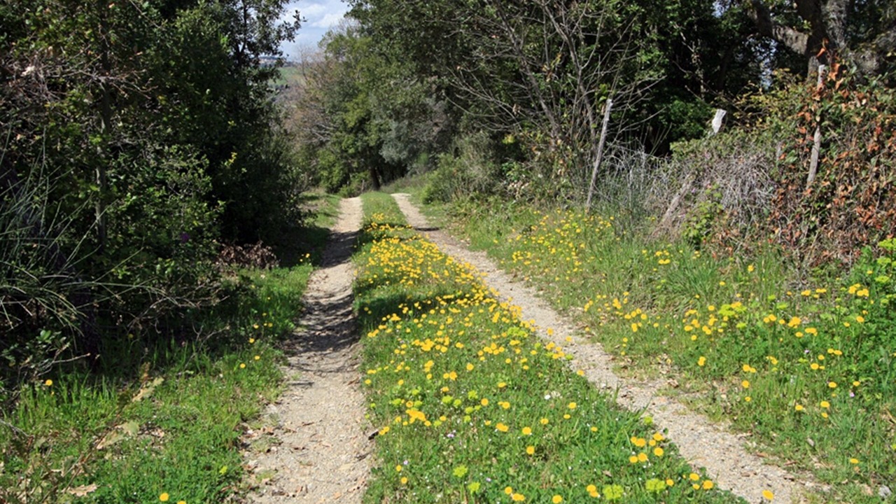 Photo of Outdoor in San Dalmazio