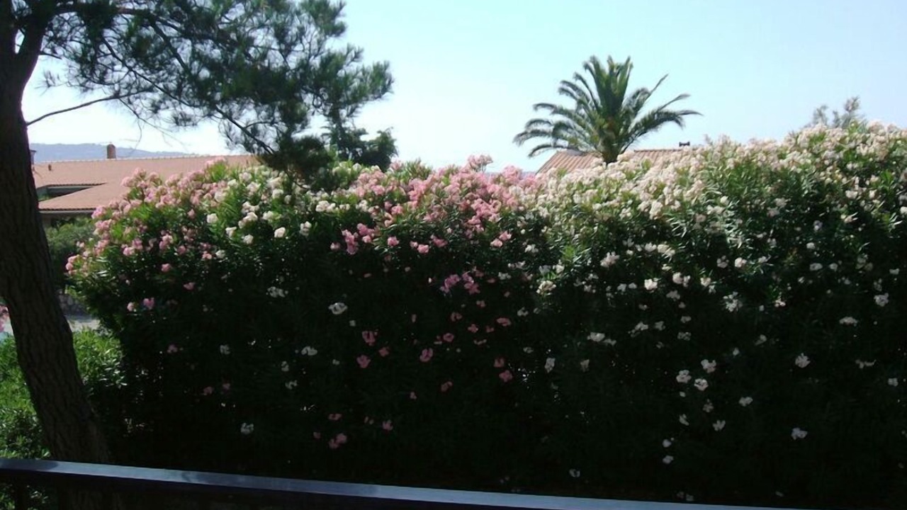 Photo of Outdoor in Giannella