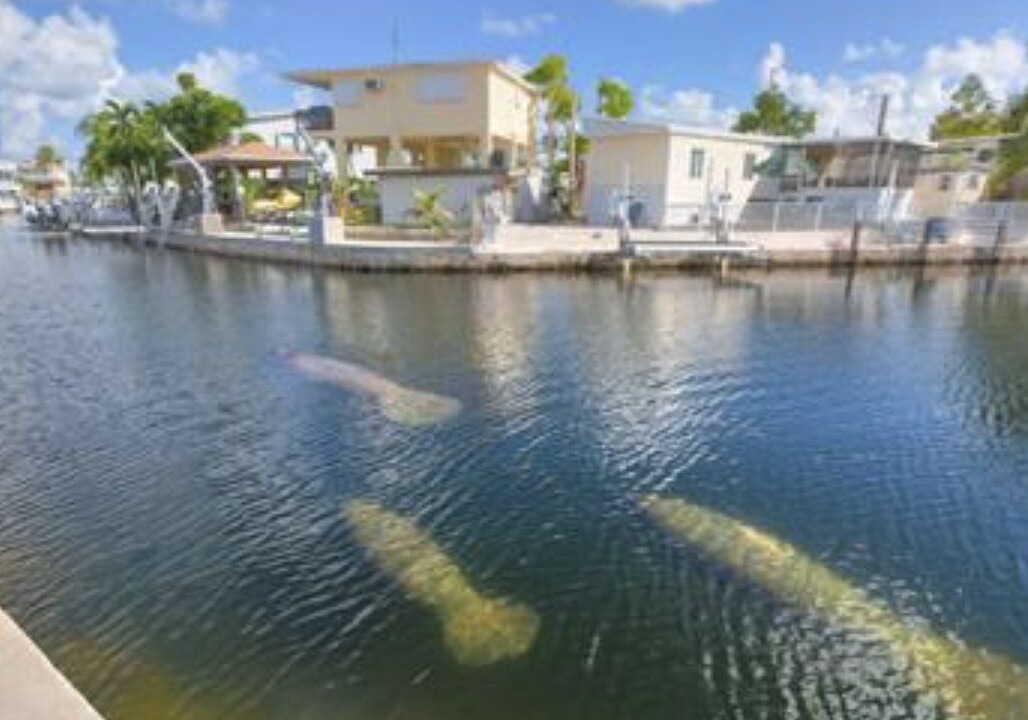Photo of Outdoor in Cross Key Waterways