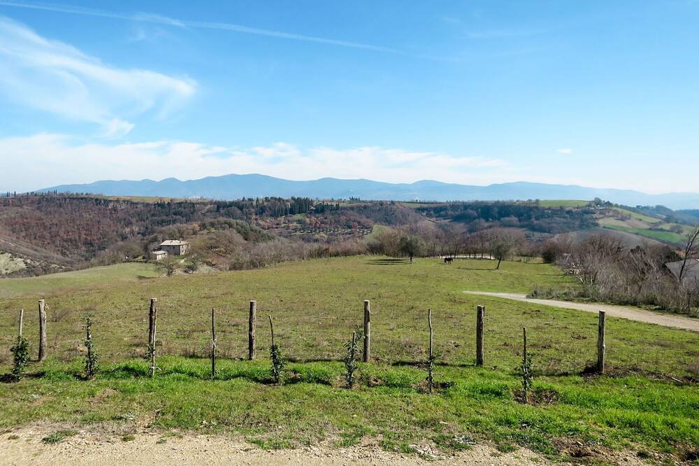 Photo of Others in Bagnoregio