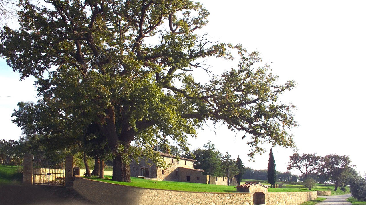 Photo of Outdoor in Pienza