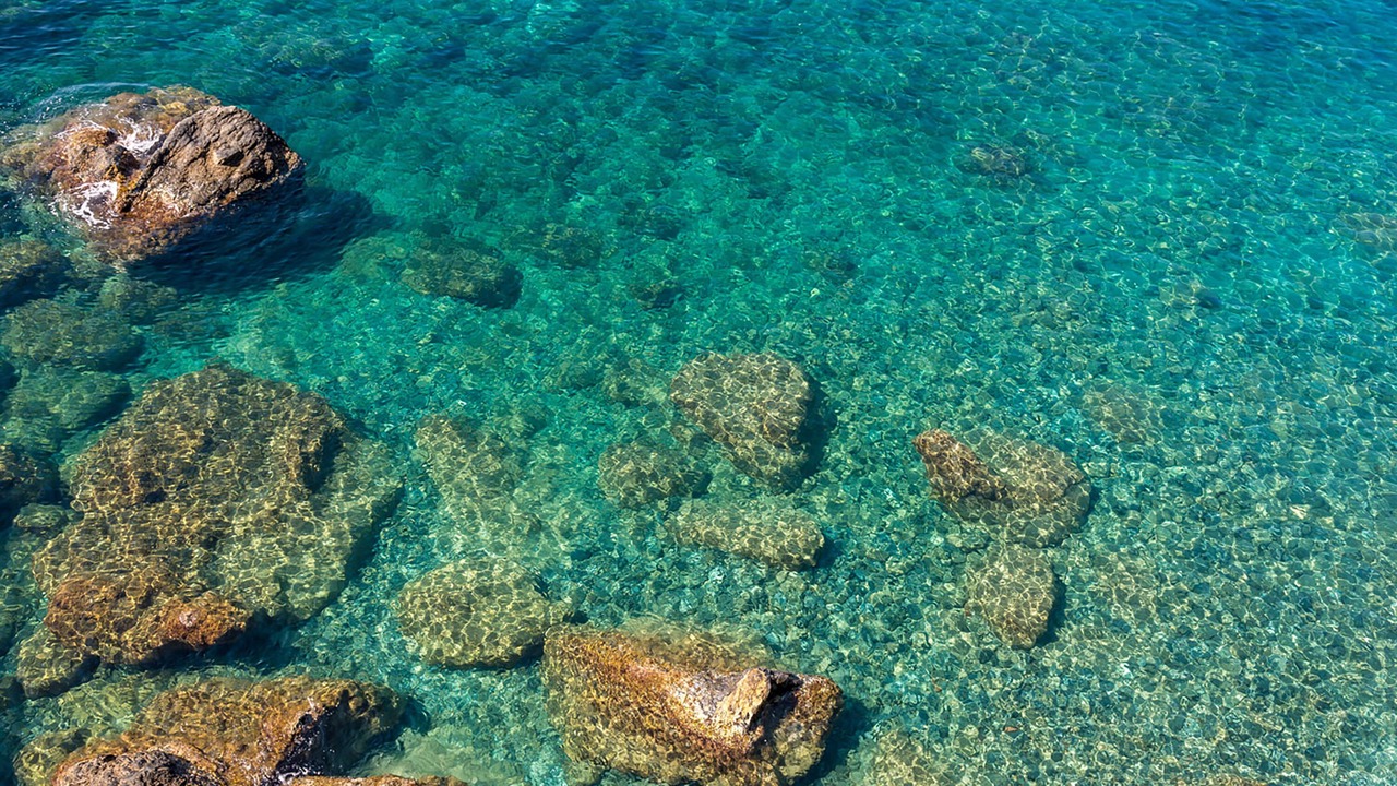 Photo of Others in La Spezia