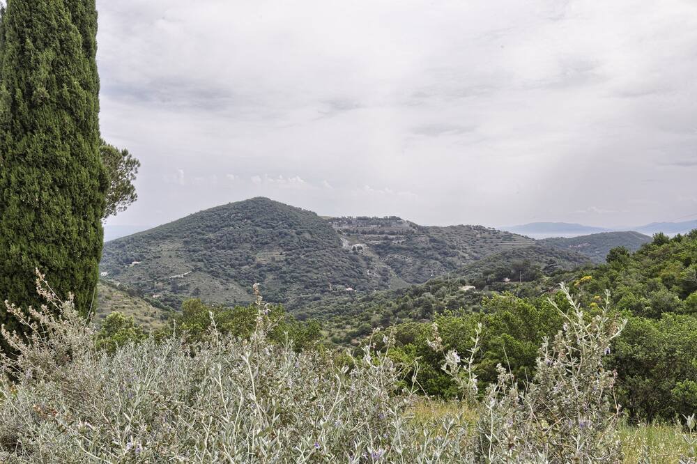 Photo of Others in Rio nell'Elba