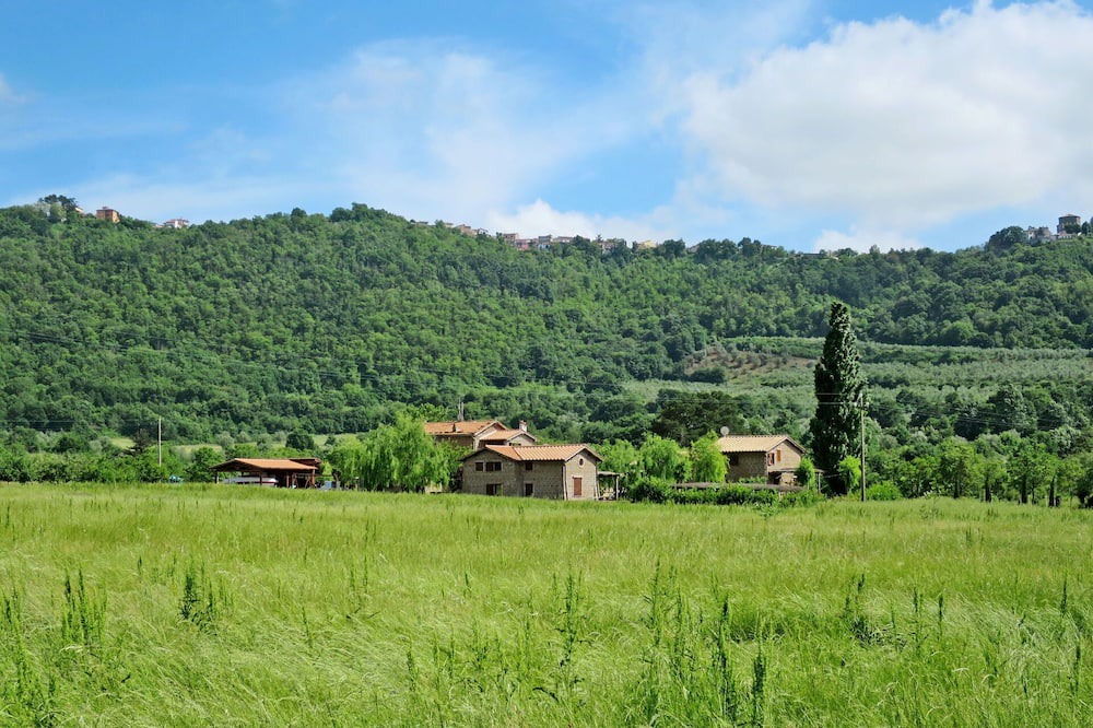 Photo of Others in Montefiascone