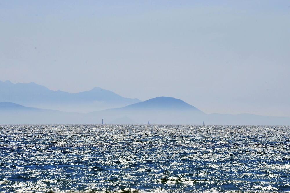 Photo of Others in Follonica