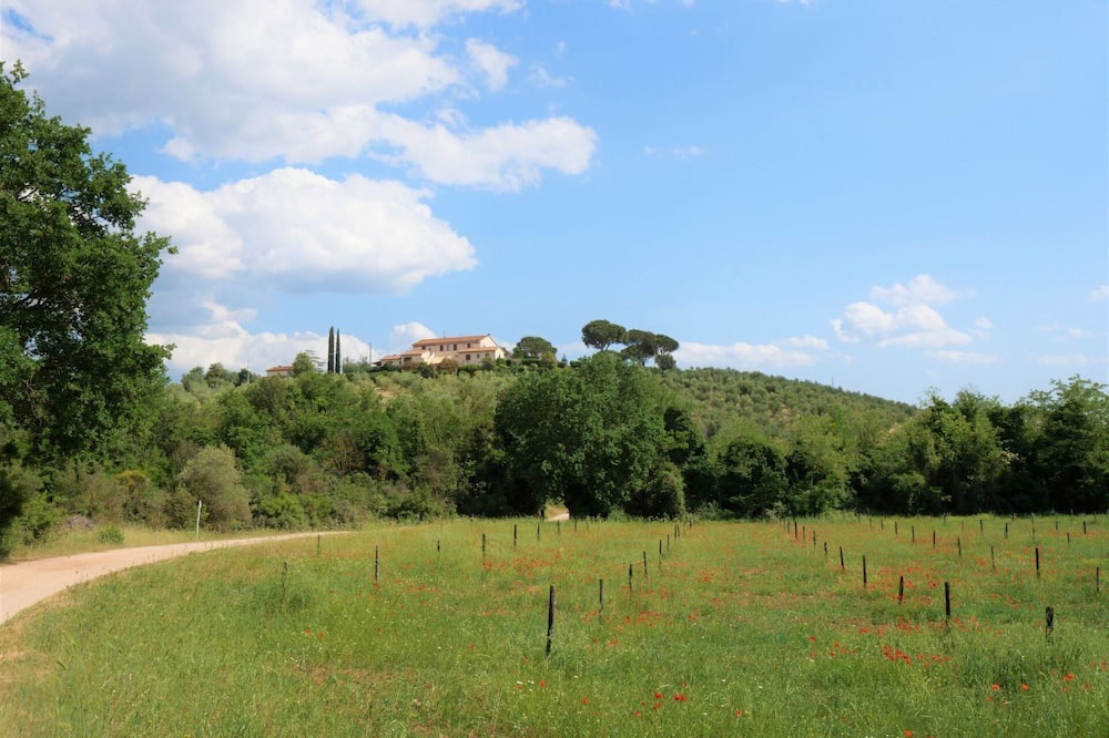 Photo of Outdoor in Massa Marittima
