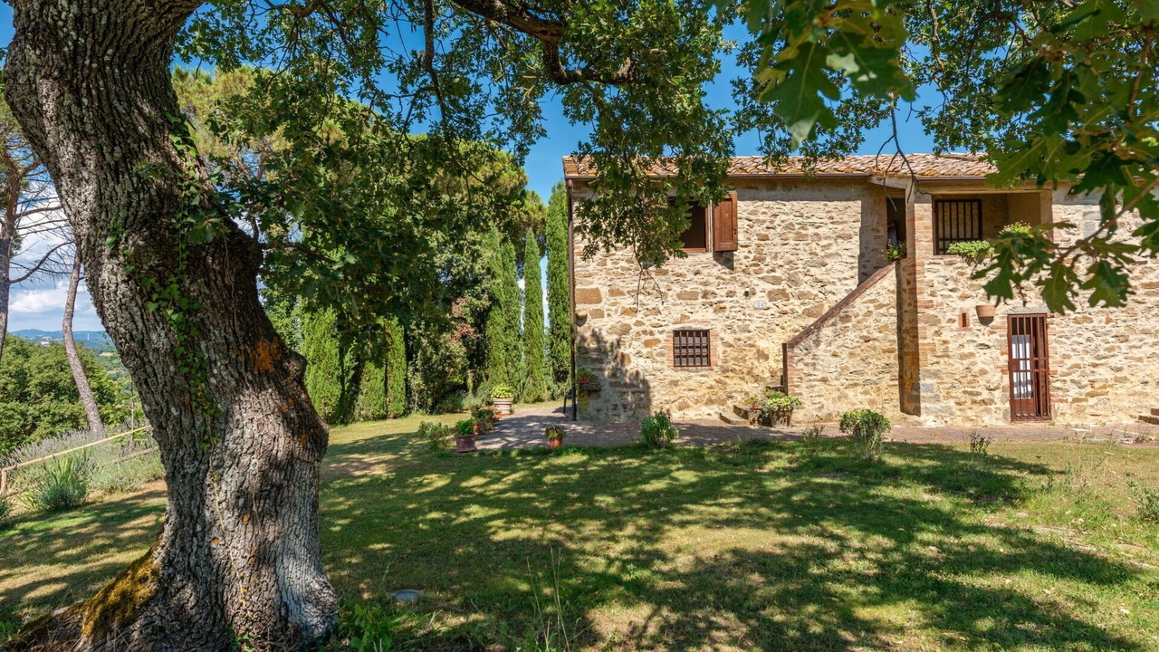 Photo of Outdoor in Scansano