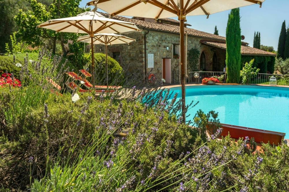 Photo of Outdoor in Campagnatico