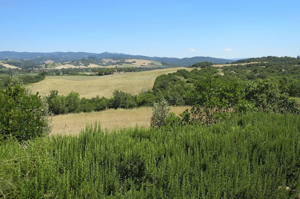 Photo of Others in Montecatini Val di Cecina