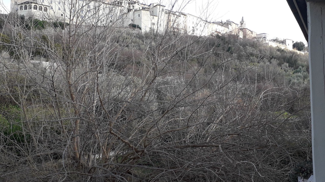 Photo of Outdoor in Stroncone