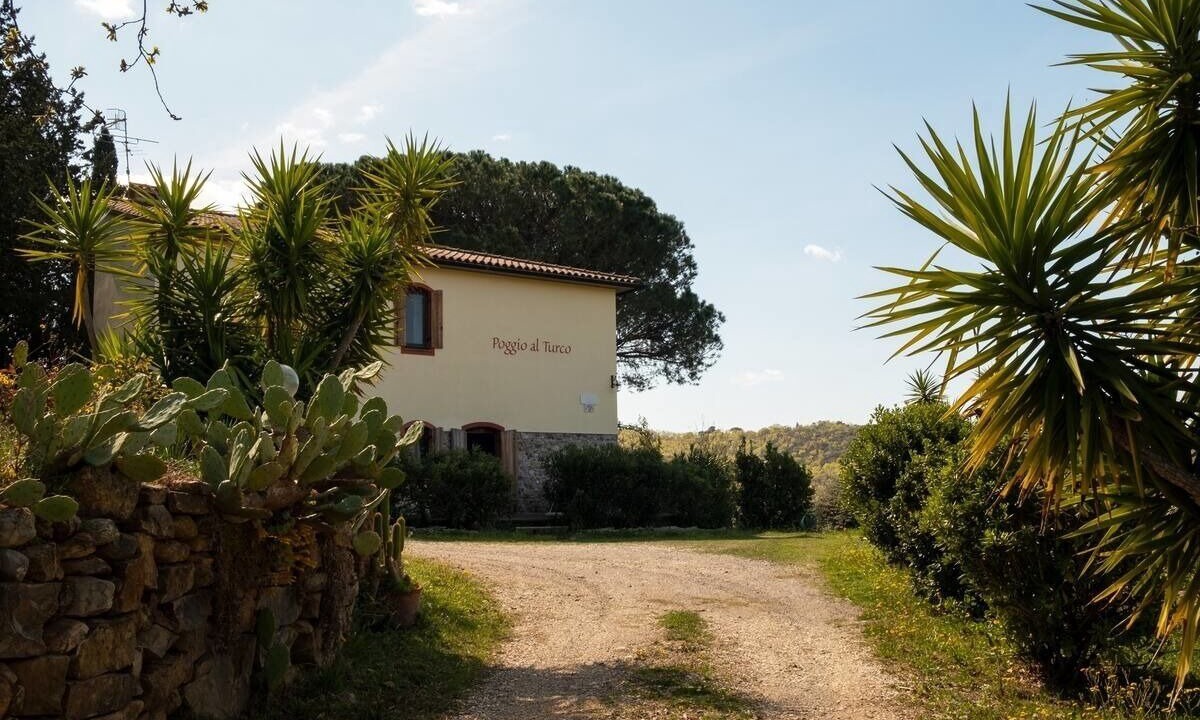 Photo of Outdoor in Suvereto