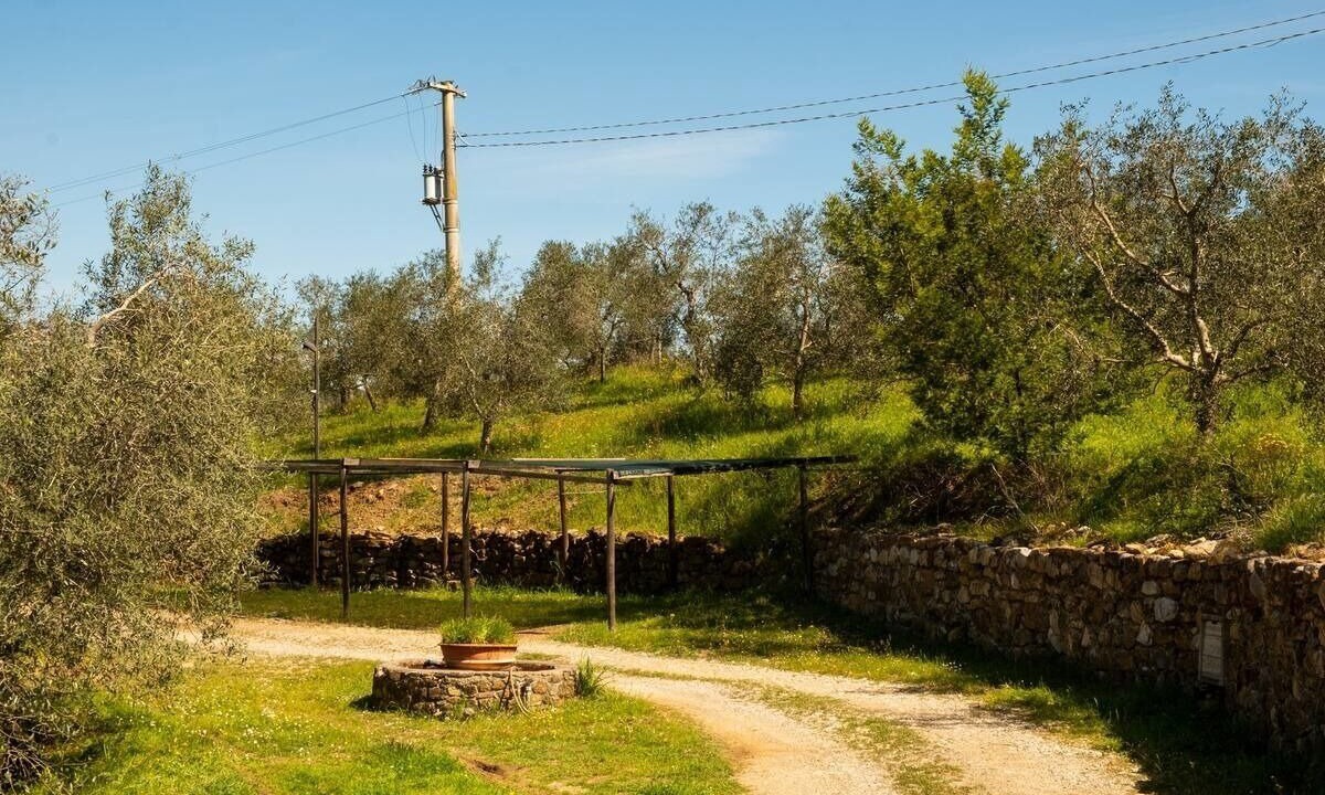 Photo of Outdoor in Suvereto