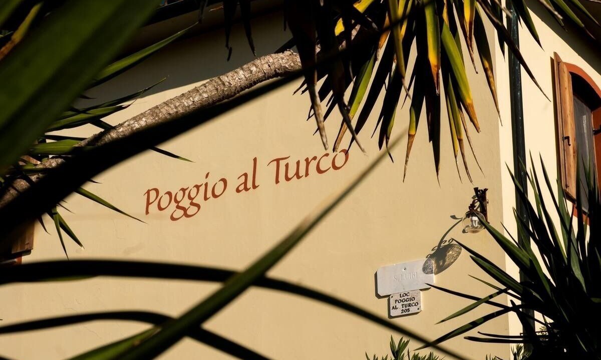 Photo of Outdoor in Suvereto